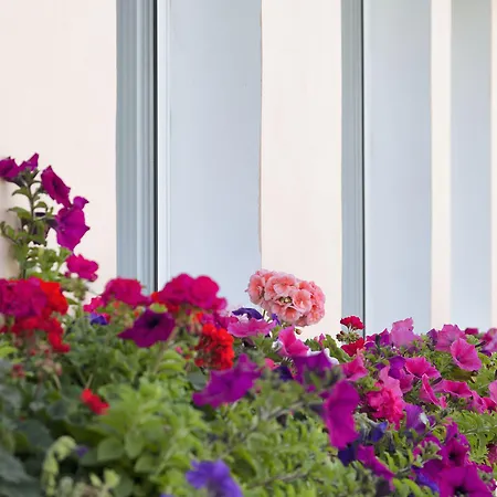 Hotell Opera Larnaca